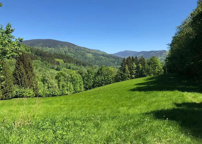 Loucna - Spicakovi